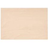 Gedore - Werkblad Hout - Slagvaste Polypropyleen Koffer - 437 x 379 x 160 mm