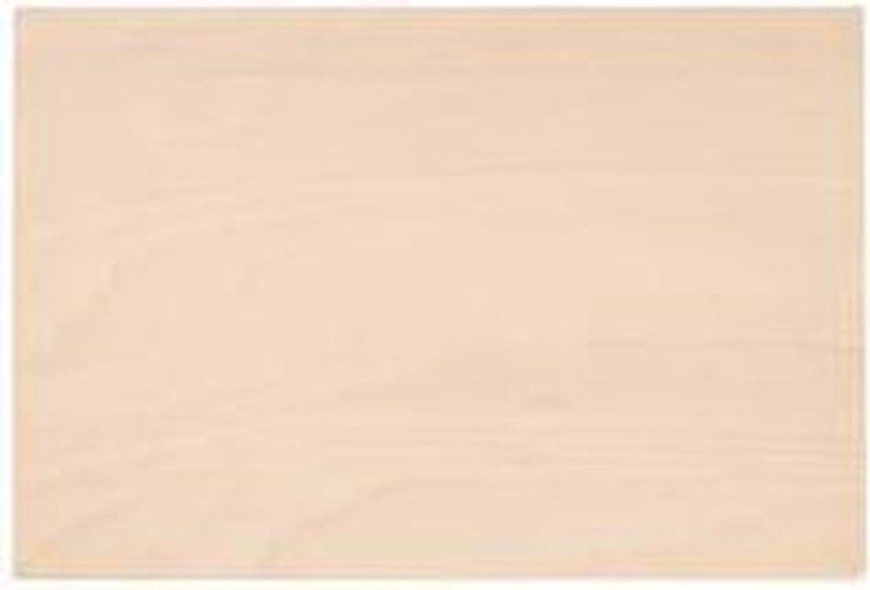 Gedore - Werkblad Hout - Slagvaste Polypropyleen Koffer - 437 x 379 x 160 mm