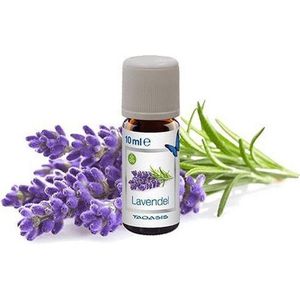 Venta Bio-Lavendel 3x10 ml-vak - Klimaat accessoire