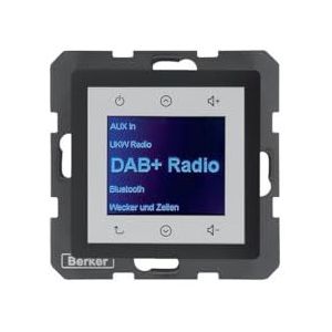 Berker BERK Radio Aanraking (DAB+, FM), Radio, Grijs