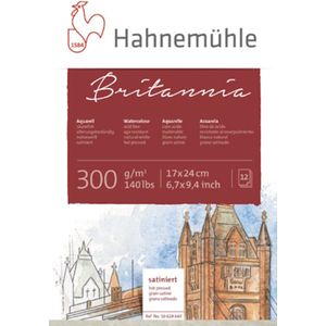 Hahnemuhle Aquarelblok Britannia 300 gram cold pressed 30 x 40 cm
