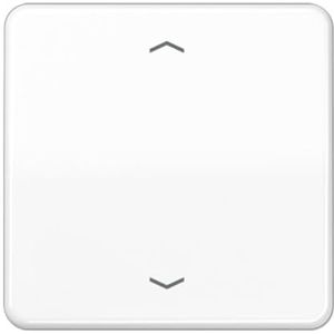 Jung CD590PWW Wipschakelaar pijl Afdekking 1-voudig Alpine-wit 1 stuk(s)
