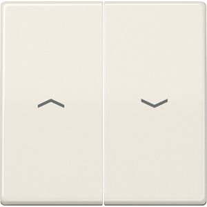 Jung ABAS591 – 5P Jalousie-knop voor drukknop-Simbolo centrale plaat wit ivoor