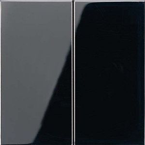 JUNG - ENOLS995SW - Lichtschakelaar - Innovatieve Zender - Voor EnOcean Draadloos Systeem