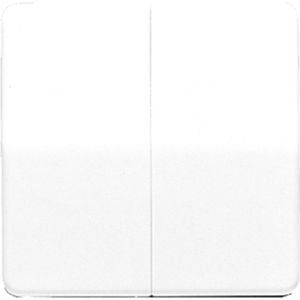 Jung CD500 Schakelelement/Centrale Plaat - CD595 - E2V2V