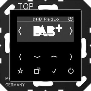 JUNG Slimme radio DABASW DAB+ (DAB+, FM), Radio, Zwart