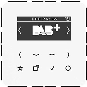 JUNG Slimme radio DABCDWW DAB+ (FM, DAB+), Radio, Wit