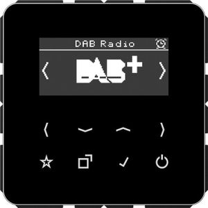 JUNG Slimme radio DABCDSW DAB+ (DAB+, FM), Radio, Zwart