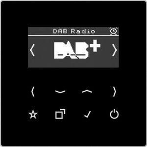 JUNG Slimme radio DABLSSW DAB+ (FM, DAB+), Radio, Zwart