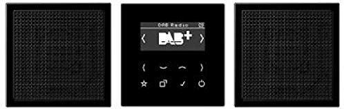 Jung - DABLS2SW - Smart Radio - DAB+ Set Stereo