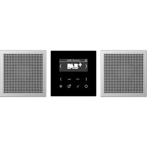 JUNG DABAL2 Slimme Radio DAB+ Stereoset (DAB+, FM), Radio