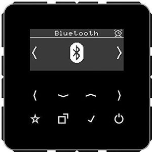 JUNG - DABCDBTSW - Slimme Radio - Zwart - DAB+ met Bluetooth