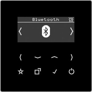 JUNG - DABLSBTSW - Radio - Zwart - DAB+ met Bluetooth