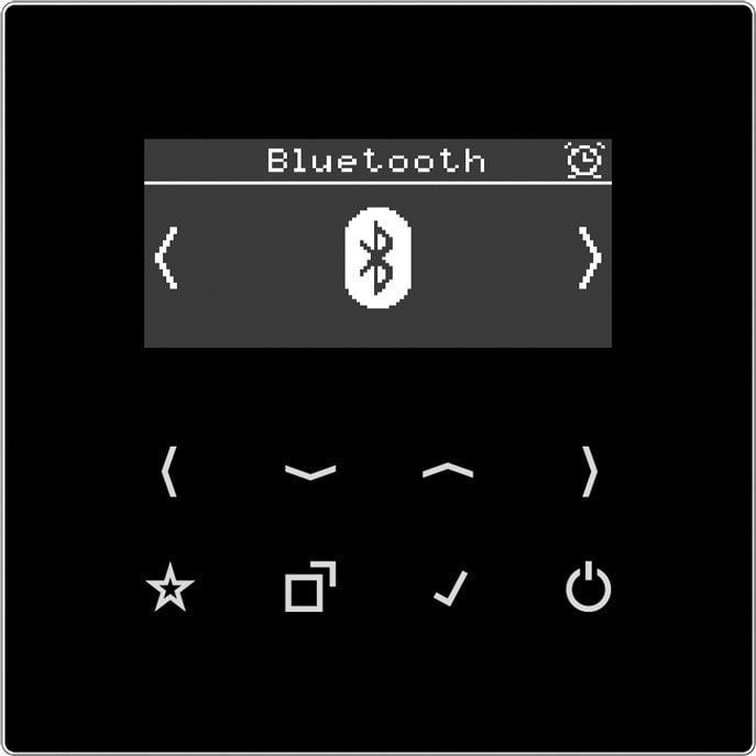 JUNG - DABLSBTSW - Radio - Zwart - DAB+ met Bluetooth
