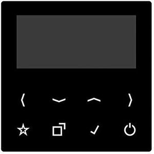 JUNG Weergave DABABT-DISPSW, HiFi component, Zwart