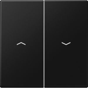 Jung LS Range Bedieningselement/Centrale Plaat LS995PSWM - E2VZU