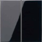 Jung - Bedieningswip - Zwart - Geschikt voor Serieschakelaar en Dubbele Wisselschakelaar