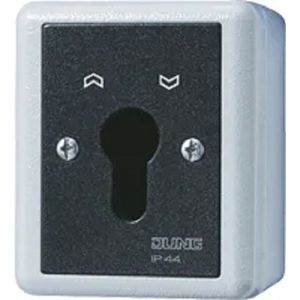 Jung 804.28 G SCHLUESSEL-SCHALTER