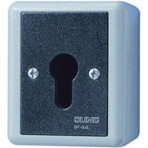 Jung 806.28 G SCHLUESSEL-SCHALTER