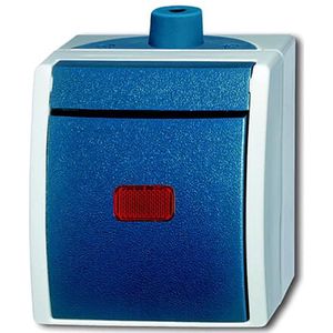 Busch Jaeger 2601/2 Skw-53 Schak 2P Con