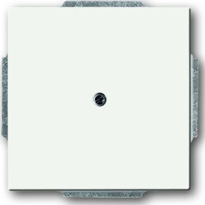 Afdekraam - Blinde Centrale Plaat