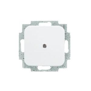 Blindplaat - Wit - Kunststof - Glanzend