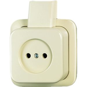 ABB Busch-Jaeger Opbouw Standaard Wandcontactdoos (WCD-schakelaar) - 2CKA002141A0191 - E2MF3