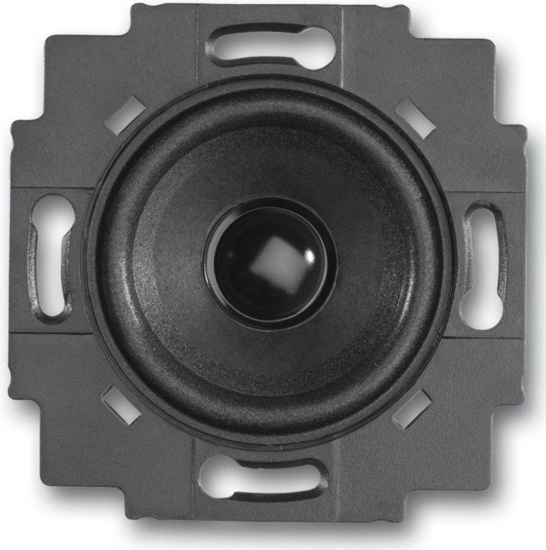 Busch-Jaeger - Luidsprekerinzet - Zwart - Thermoplast