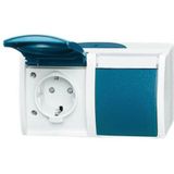 Busch-Jaeger - Wandcontactdoos - Grijs/blauw-groen - Kunststof - 2x Aansluitingen