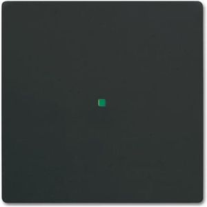ABB Busch-Jaeger Busch-FreeAtHome Bedieningselement/Centrale Plaat Schakelmateriaal - 2CKA006220A0498 - E28FK