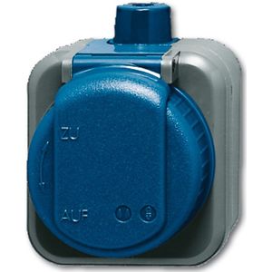 Busch 2300 EWDI Schuko-Steckdose Aufputz