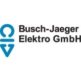 Busch-Jaeger 2CKA008200A0275 Radio Inzetstuk