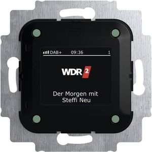 Busch-Jaeger 2CKA008200A0275 Radio Inzetstuk