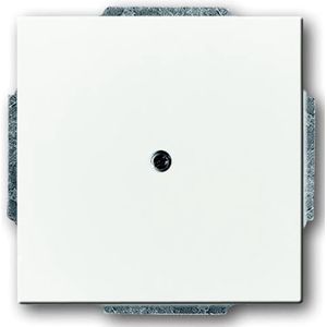 ABB Busch-Jaeger Inzetplaat Voor Schakelaars - 2CKA001710A3163 - E29YP