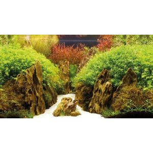 HOBBY Aquariendeko Fotorückwand Canyon/ Woodland zweiseitig 60x30 cm