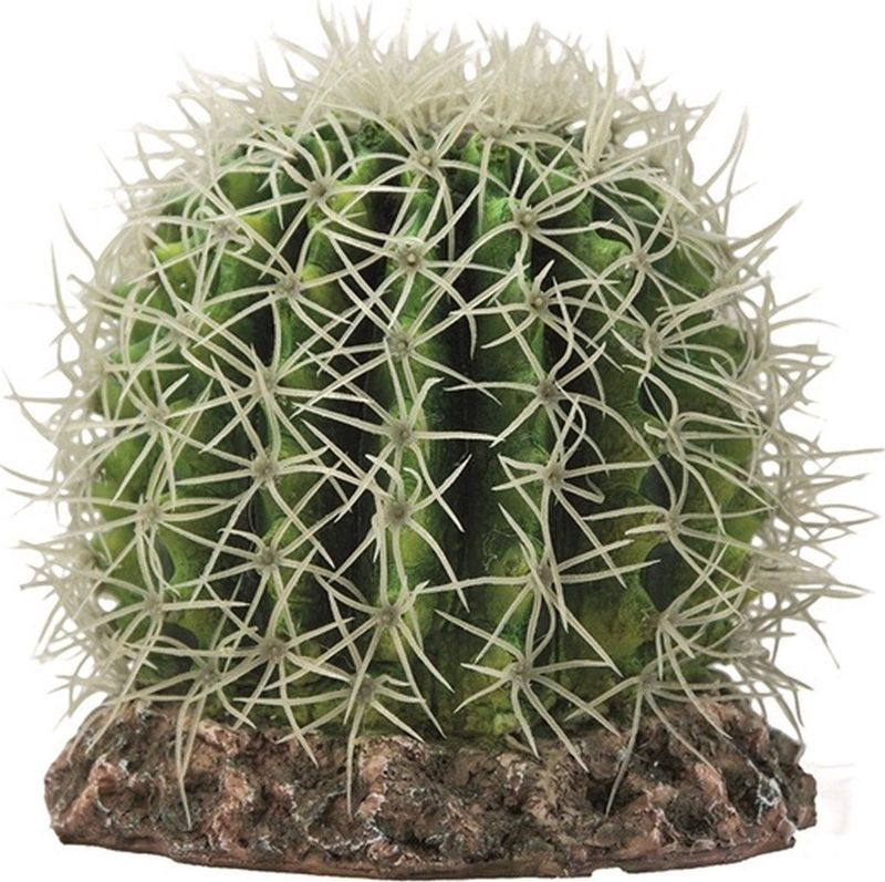 Hobby Terrano Cactus - Sonora - OPRUIMING