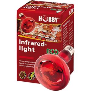 Hobby Terrano Infraredlight Eco 70w