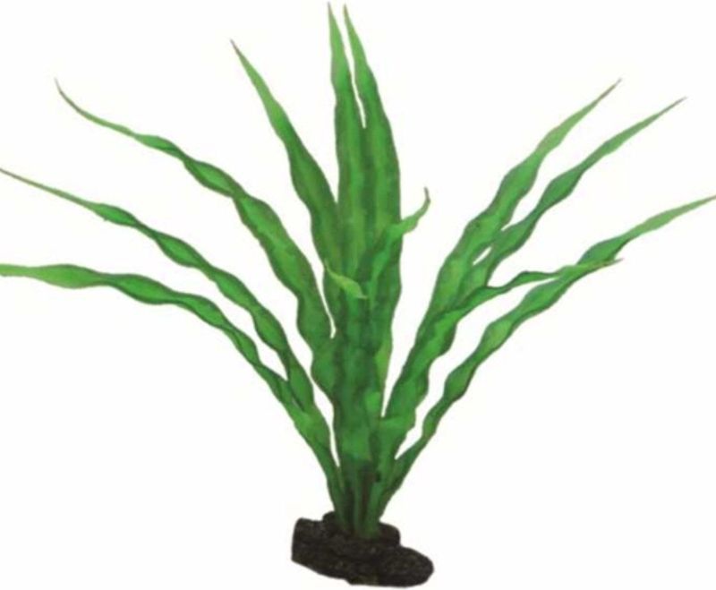 Crinum, 29 cm - künstliche Aquariumpflanze - Hobby