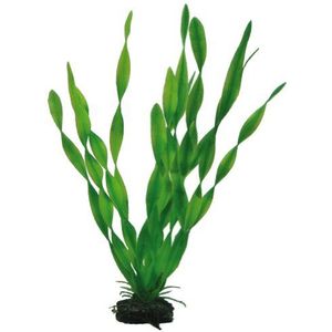 Hobby Plant Vallisneria 34CM