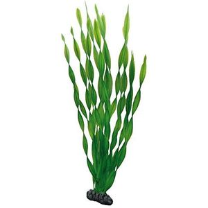 Hobby Vallisneria Kunstmatige aquariumplant, 46 cm