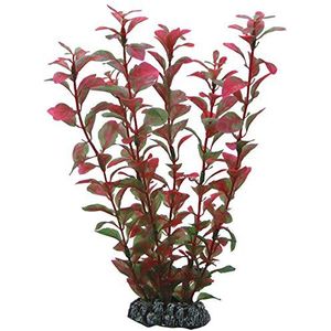 Hobby - Ludwigia, 25 cm - Kunststoffpflanze für Aquarien