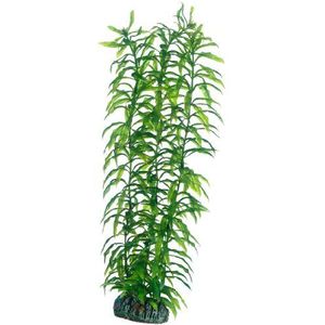 Hobby - Heteranthera - 34 cm - künstliche Aquariumpflanze
