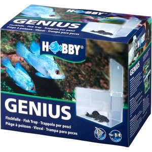 Hobby Genius visval voor aquaria