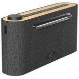 Loewe - Jubiläumsklangwunder - DAB + Radio - Natureiche - 28 Watt