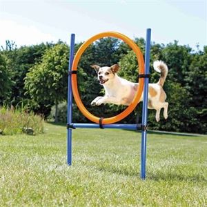 Trixie Dog Activity Agility Ring - Blauw/Oranje - 65 x 3 x 115 cm