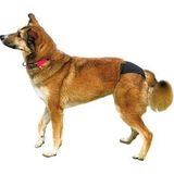 TRIXIE Hundewindel Schutzhöschen schwarz