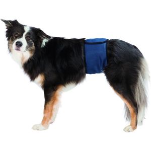 Trixie Plasband voor Reuen - XL