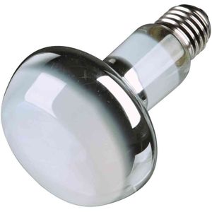TRIXIE Terrarienleuchte Wärme-Spotlampe