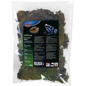 Terrarien-Moos