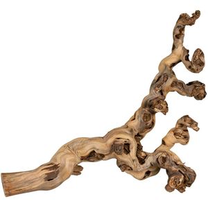 Trixie gezandstraalde Wijnstokken 40-60cm Voor Knaagdierkooien en Terraria
